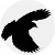 crowbyte Logo